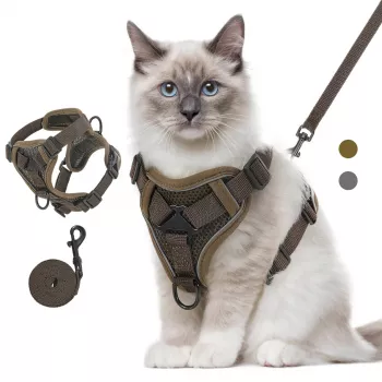 Soft Vest Dog Harness with Leash: Fit, Sizing & Control